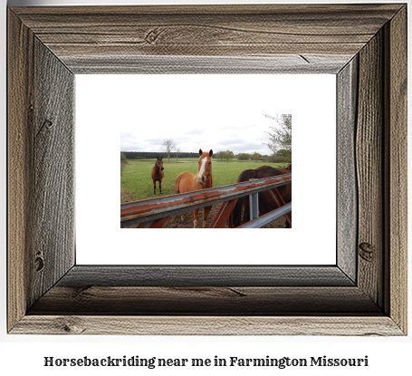 horseback riding near me in Farmington, Missouri